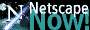 Netscape Now icon